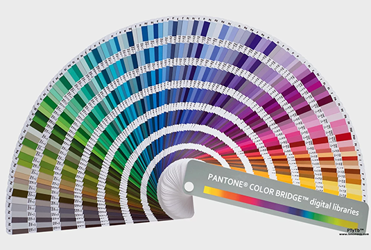 colors of pantone