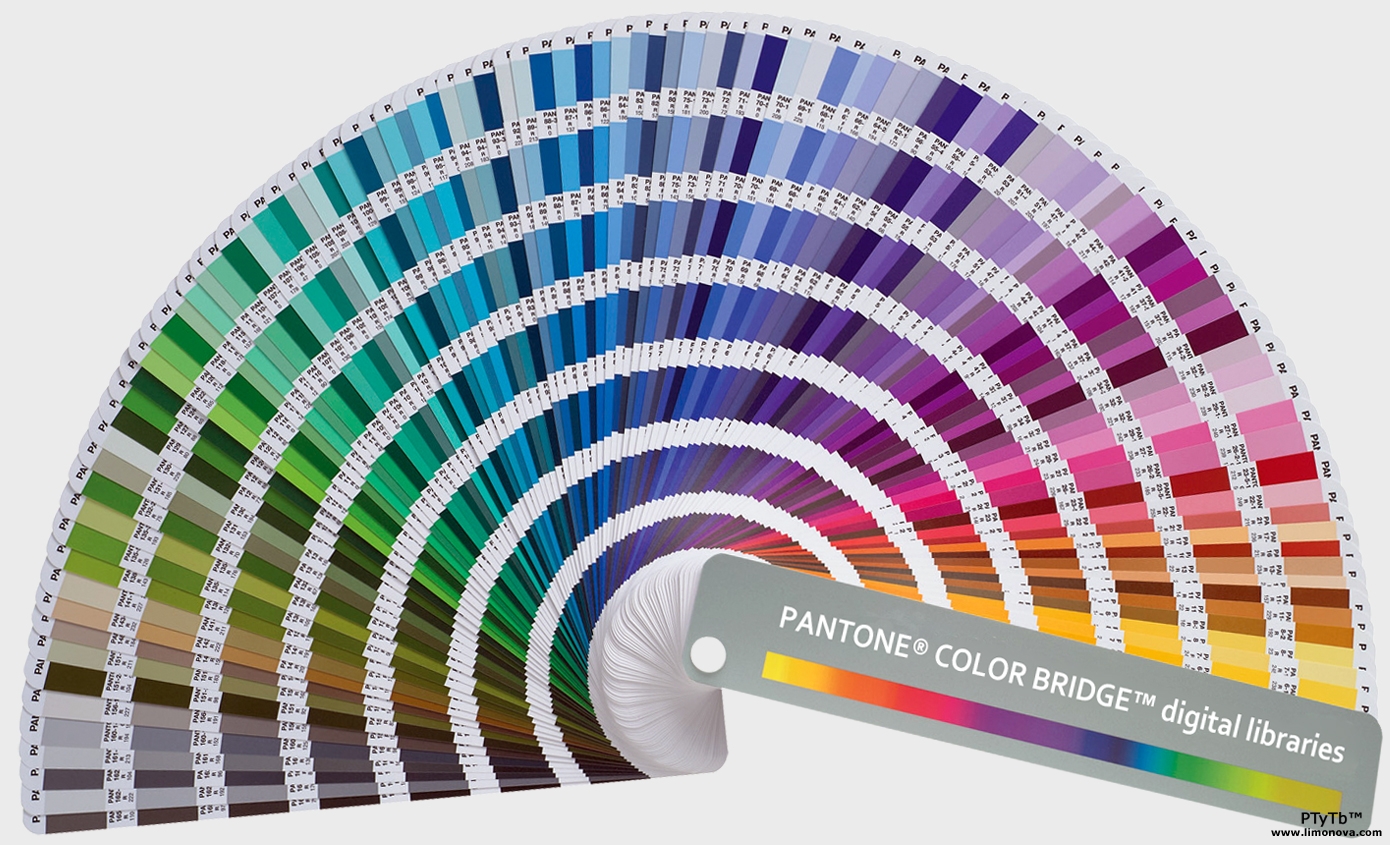 What is a Pantone Color?