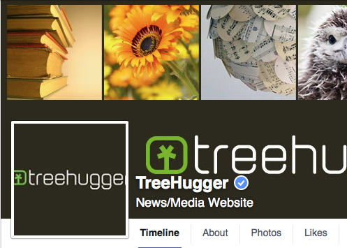 The treehugger logo does not all fit in the profile box.