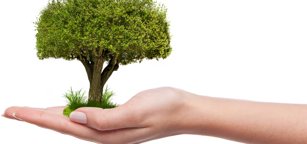Eco-Friendly Promotional Gift