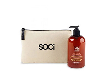 Hand soap kit